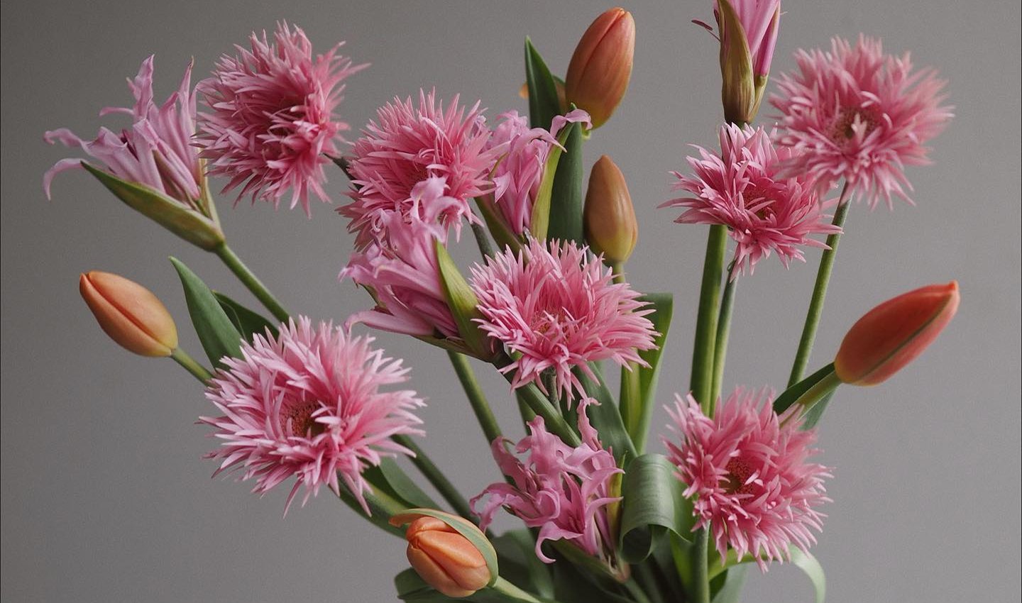 Post format audio blogs